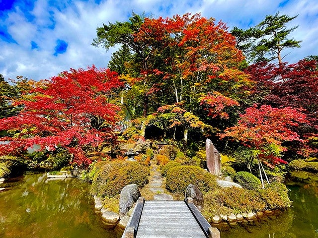 ■＜ひるおびで紹介されました！＞【栃木】＜土日祝日出発限定＞日光の秋景色♪日光山輪王寺星祈願と隠れた紅葉スポット「逍遥園」＆紅葉が彩る世界遺産「日光散策」＆栗おこわ葵御膳のご昼食2