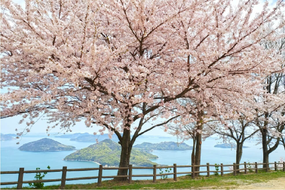 ＜香川＞～息をのむ美しさ～　紫雲出山の桜と特別名勝 栗林公園【名谷・垂水出発】2