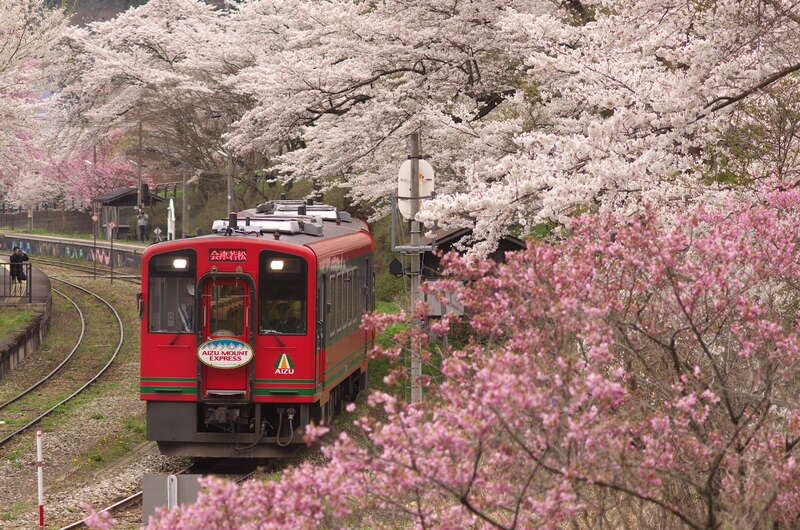 【東京駅・上野駅・大宮駅・小山駅・宇都宮駅・那須塩原駅発】 往復新幹線でびゅーん！ 桜舞う！「会津鉄道お座トロ列車」と大内宿・塔のへつり 日帰り2
