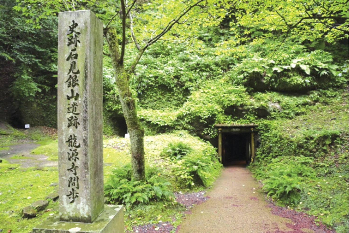 【広島駅新幹線口・不動院バス停・中筋（にしき堂前側道）発着／日帰り】四季を訪ねて散歩旅～石見銀山1