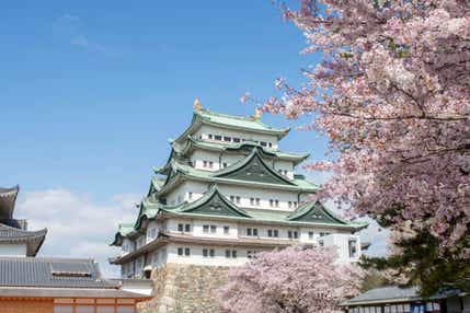 【京滋エリア発】 尾張名古屋城・桜100選五条川桜並木と絶品本場名古屋コーチンの昼食!日帰り