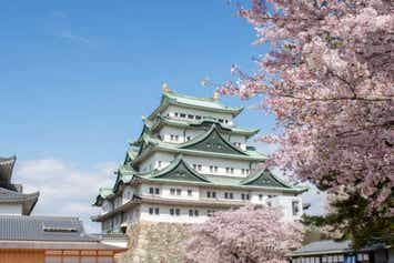 【京滋エリア発】 尾張名古屋城・桜100選五条川桜並木と絶品本場名古屋コーチンの昼食！日帰り