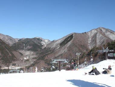 ■●在庫セール【千葉発着】朝発日帰り　カムイみさかスキー場【滞在約7時間】