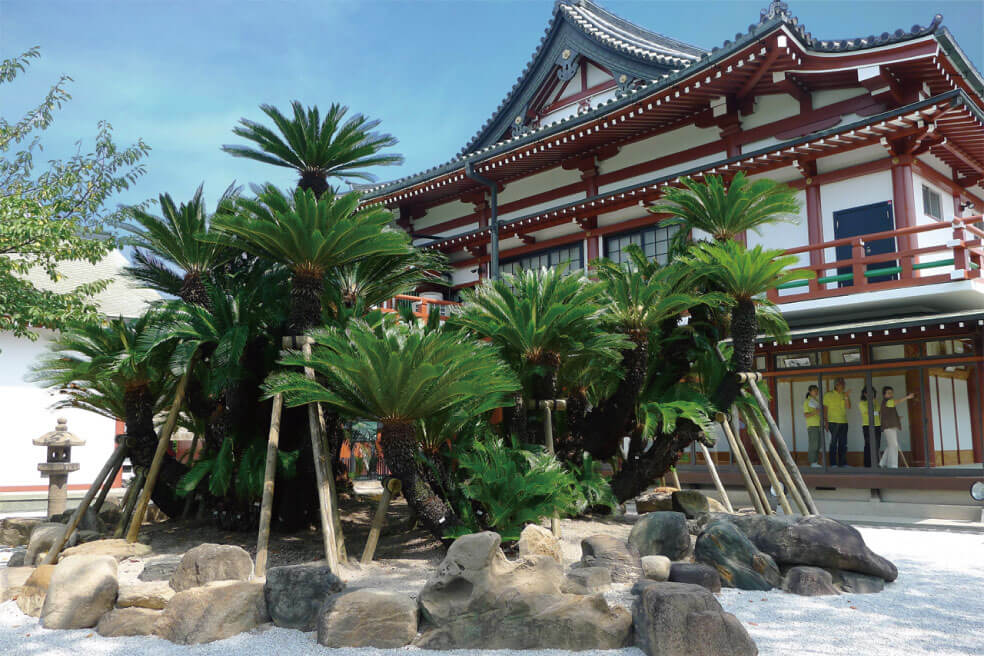 ＜大阪＞堺探訪 千利休・与謝野晶子ゆかりの地＆仁徳天皇陵古墳【西神中央・明石出発】3