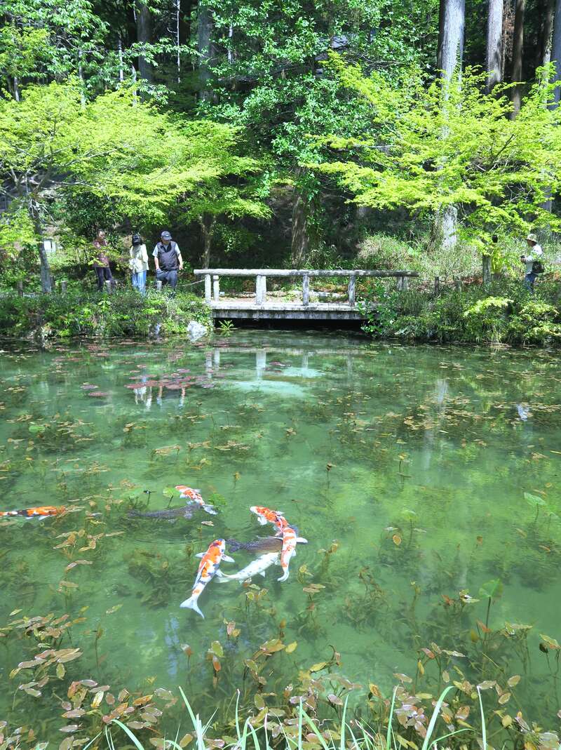 【広島駅・福山駅・岡山駅発】 涼を求めて！避暑地・上高地、森林浴・赤沢森林鉄道３日間3