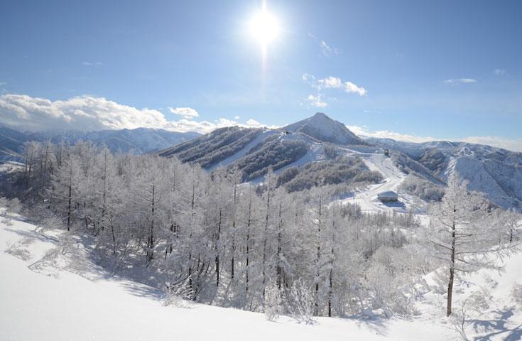 [新宿発]【往復バスで行く】朝発【雪マジ】18・19歳が平日リフト券無料・土日祝＆20～22歳は半額！舞子スノーリゾート日帰り≪雪マジ・スマイル18対応リフト券なしプラン≫2