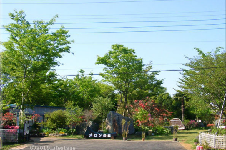 【上三川・宇都宮発着】甘くて楽しい！メロン狩りとうみのともだち/ WEB割引5%引き3