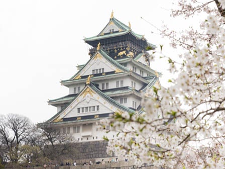 中部発　日帰り　大阪城　名古屋城　２つの名城桜見物とプリンスホテルランチブッフェ1