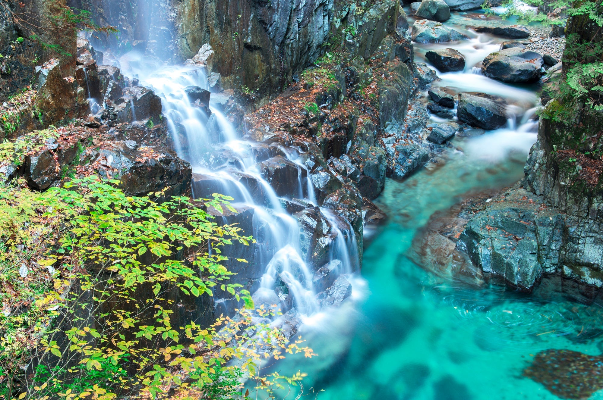 ＜ひとり旅＞「温泉ソムリエ添乗員とめぐる！名湯から知られざる秘湯まで！飛騨・美濃5名湯めぐり2日間」2