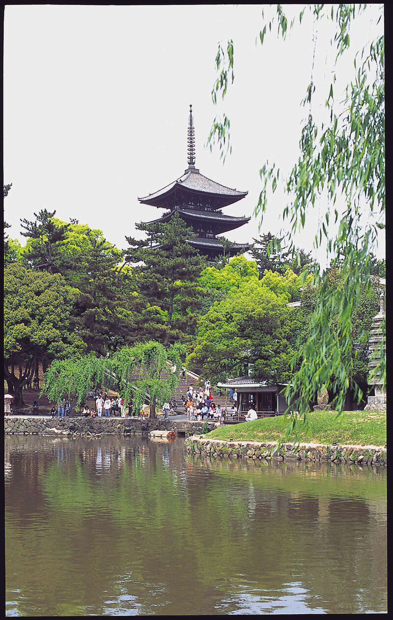 【小山駅・宇都宮駅・那須塩原駅発】大和郡山 「大河ドラマ館」と 飛鳥・藤原の宮都・奈良8つの世界遺産めぐり　3日間2