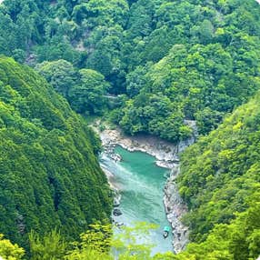 【大阪府内発】 京都の避暑地「高雄」で爽やか川床料理と水無瀬神宮の千の風鈴・青蓮院門跡 日帰り