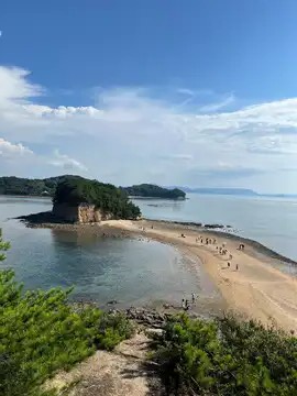 【東京駅・品川駅・新横浜駅発】 せとうち２島めぐり「小豆島」「淡路島」と 大塚国際美術館・鳴門うず潮クルーズ・エンジェルロード３日間2