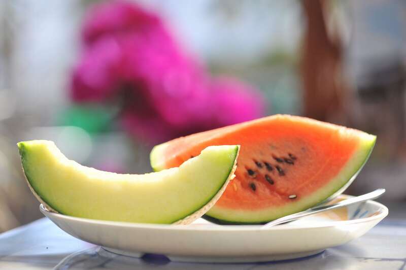 【愛媛県内発】 土佐の日曜市とバイカオウレン咲く牧野植物園　日帰り2