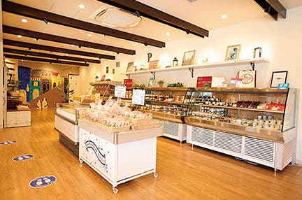 横浜発 よくばり!!4つの社会見学 オギノパン本社プレシア鎌倉ハムちぼりスイーツファクトリー in神奈川 日帰り おいしい秘密を探しに行こう!4つの工場見学ツアー