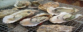 【福島県内発】 ホテル松島大観荘６０種ランチバイキングと日本三景松島食べ歩き　仙台光のページェント（日帰り）3