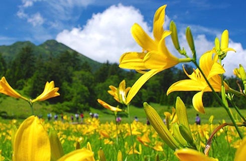 9/26・27・10/3・10催行決定🚌【夜発日帰り】[東京/新宿/大宮発]朝一番からたっぷり満喫！遥かなる尾瀬　鳩待峠ハイキング3