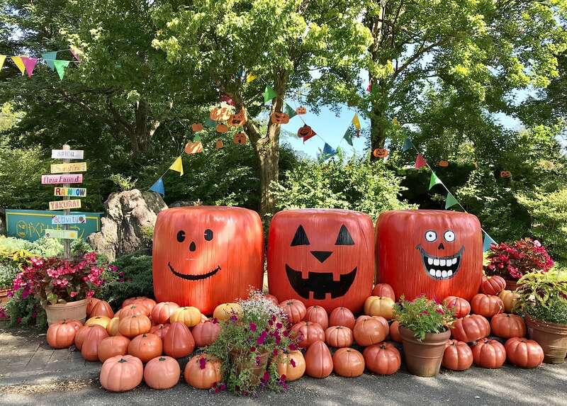 【山形県内発】 ハロウィンと虹色に彩られる圧巻のガーデン！ 絶景の秋色ミステリーツアー（日帰り）2