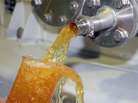 中部発　日帰り　鯛・ふぐ・いちご！三河三福みつけ旅！2