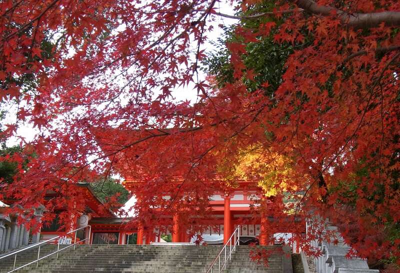 【仙台港発】 “洋上の動くホテル”4つのフェリーで航く☆紅葉彩る憧れの日本一周クルーズ8日間　≪仙台港発着≫3