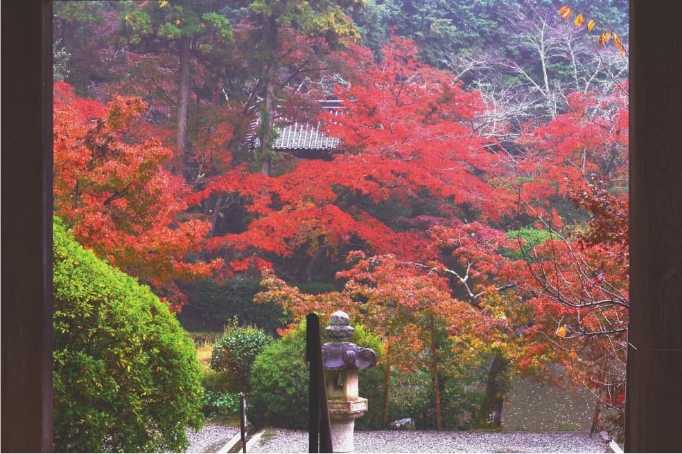 ＜奈良＞錦秋の大和路 紅葉めぐり　談山神社・長谷寺・長岳寺【明石･三宮出発】3