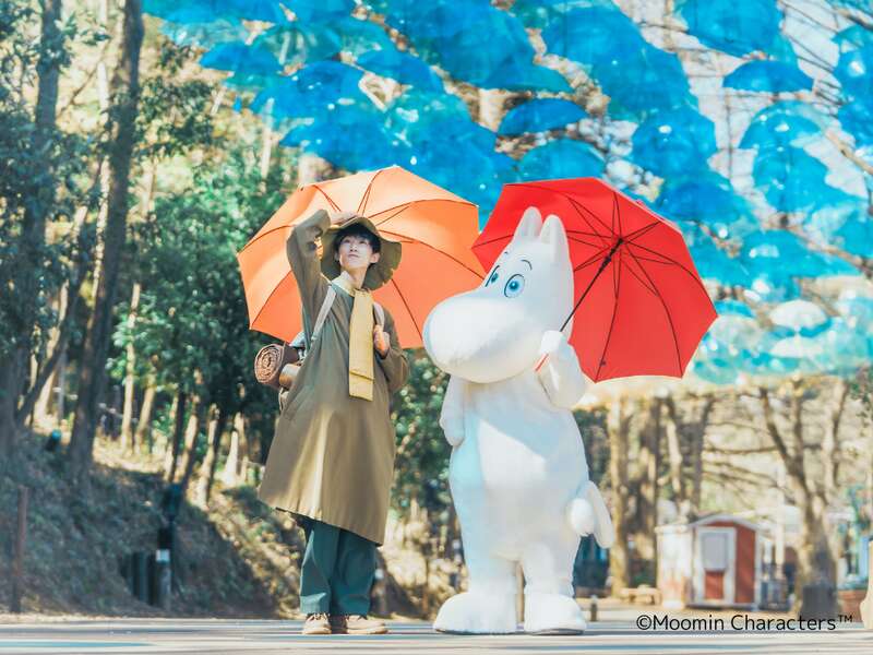 【京葉エリア発】 特別有料観覧エリアで鑑賞！ メッツァの北欧花火と ムーミンバレーパーク＆ディナービュッフェ　日帰り3