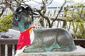 新春初詣　京都寺社めぐり1