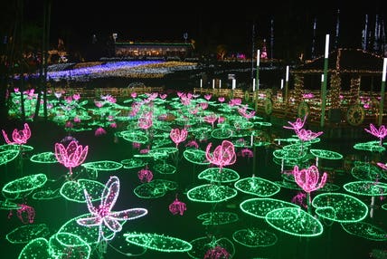 【函館空港発】 一生に一度は見たい、ホエールウォッチング!南国沖縄を彩るイルミネーション(3日間)