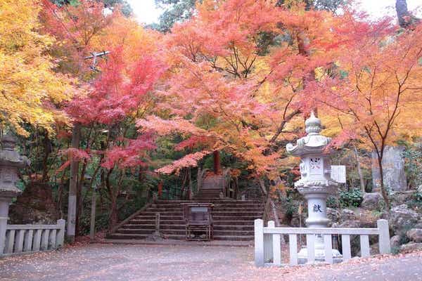 【和歌山市内ルート発】 香嵐渓ライトアップと約3000本！大矢田神社もみじ谷・城下町犬山散策２日間2