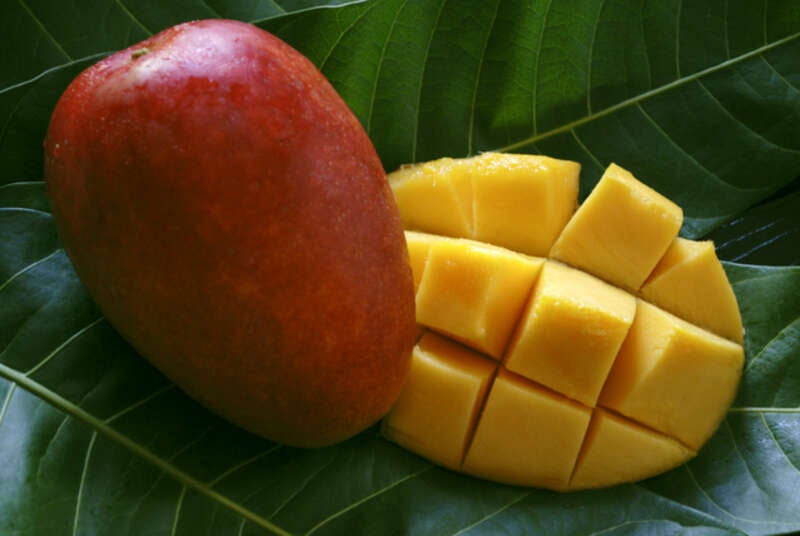 【阪神地区発】 母の日ミステリー　日帰り3