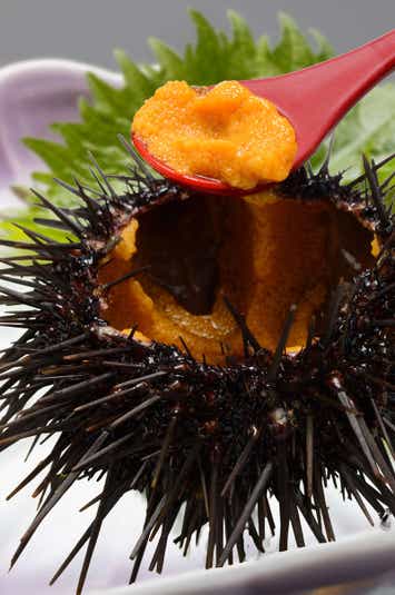 【東京駅・上野駅・大宮駅・小山駅・宇都宮駅・那須塩原駅発】 あわび2.5個分使用！鮑づくし会席と旬のうに三昧 きらめきの南三陸と初夏の絶景をめぐる旅３日間