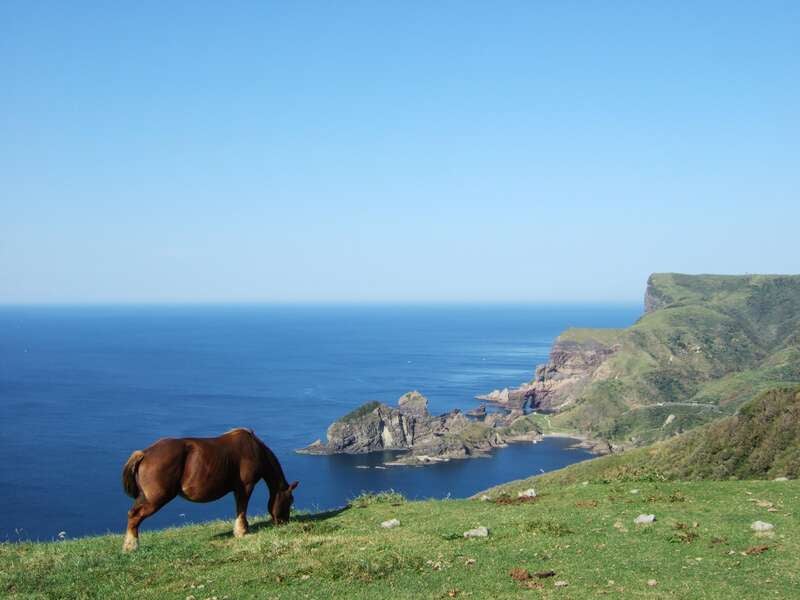 【伊丹空港発着】 《島たび》絶景の隠岐諸島周遊（隠岐の島・西ノ島・中ノ島）3日間1