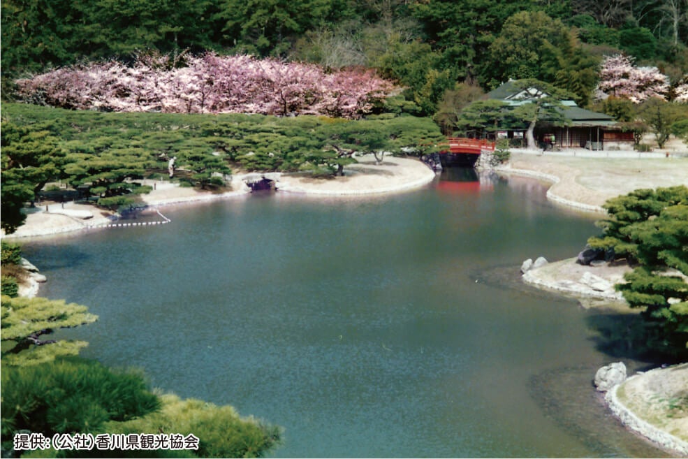 ＜香川＞～息をのむ美しさ～　紫雲出山の桜と特別名勝 栗林公園【名谷・垂水出発】3