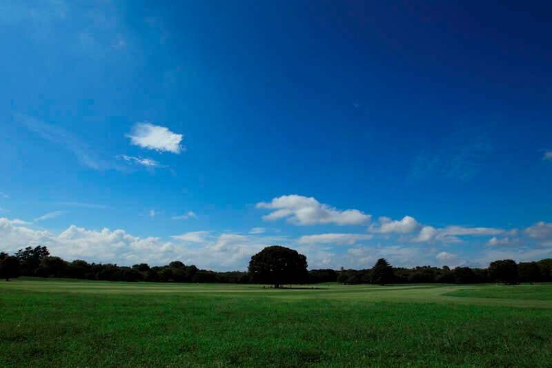 【秋田空港発】 秩父長瀞ライン下り・花菖蒲やアジサイなど季節の花が彩る昭和記念公園と小江戸川越にご宿泊 2日間3