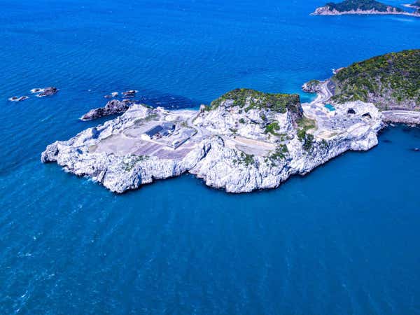 地元漁師の漁船に乗って！和歌山のエーゲ海「白崎海洋公園」絶景のアドベンチャークルーズ【藤井寺・富田林・河内長野・三日市発】1