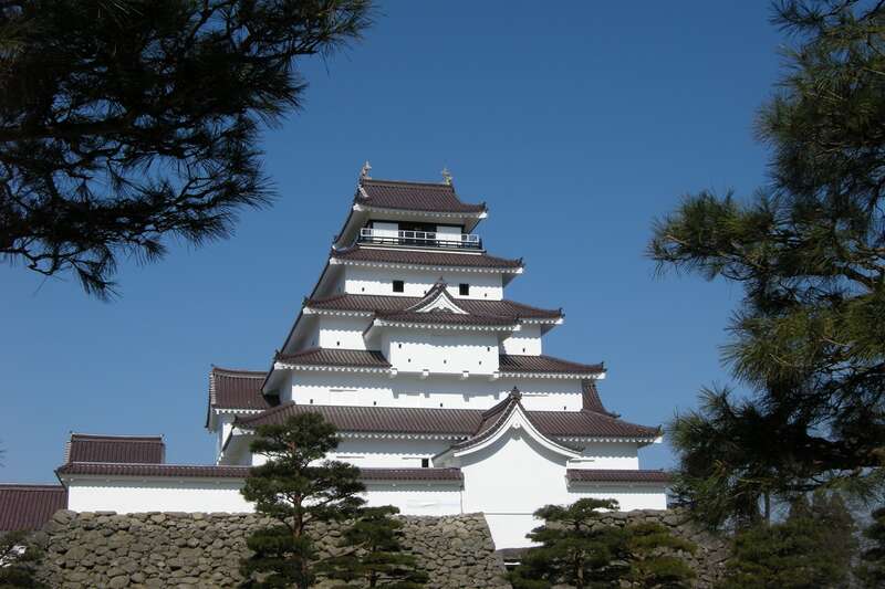 【山形県内発】 世界初公開の化石を展示！大恐竜展と フルーツ王国ふくしま桃狩り食べ放題（日帰り）3