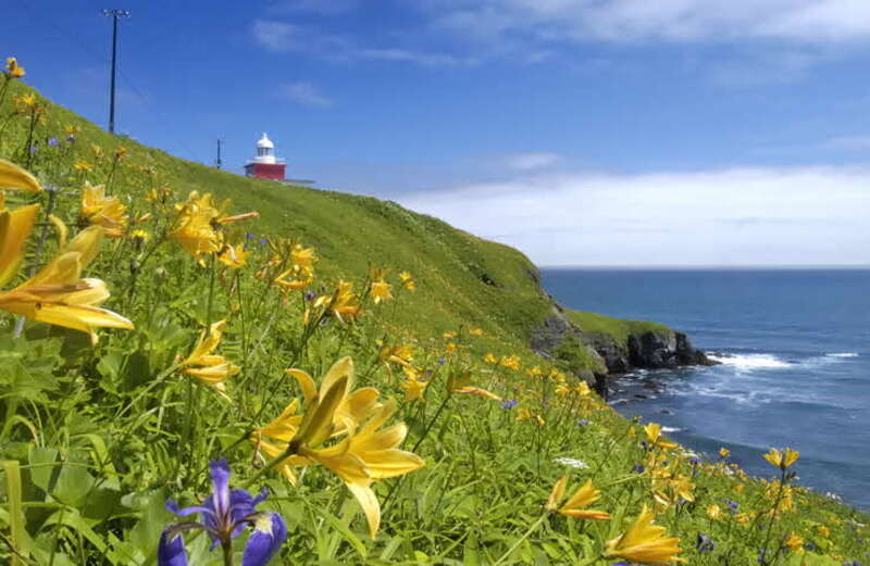【米子空港発】 ひがし北海道・さいはて秘境１8景をめぐる４日間　知床・野付・根室・霧多布４つの半島　～本土最東端「納沙布岬」と「花咲線」に乗車するさいはて紀行～2