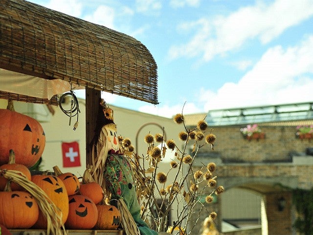 ■＜横浜発＞【山梨】Trick or Treat！秋の花咲く庭園『ハイジの村ハロウィン祭り』とシャインマスカット狩り園内食べ放題＆大人気！桔梗信玄餅の詰め放題♪2