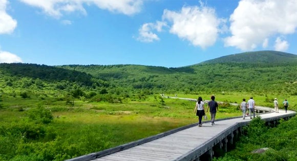 ＜新宿発・西船橋発＞ 天空の絶景ドライブ！磐梯吾妻スカイライン・浄土平 と 新緑の裏磐梯・神秘の五色沼ハイキング　そして、喜多方・鶴ヶ城・大内宿　ぐるーり会津大周遊 ２日間【1名参加ok】3