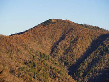 【名古屋発】■２０２６年１１月８日（日）■〔中級＋〕日本百名山と名峰を歩く旅　雲取山 １泊２日　♪名鉄の泊りトレッキング