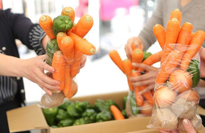 【新宿発】　山梨いちご ときめく春色旅♡ 山梨いちご狩り日帰りバスツアー3