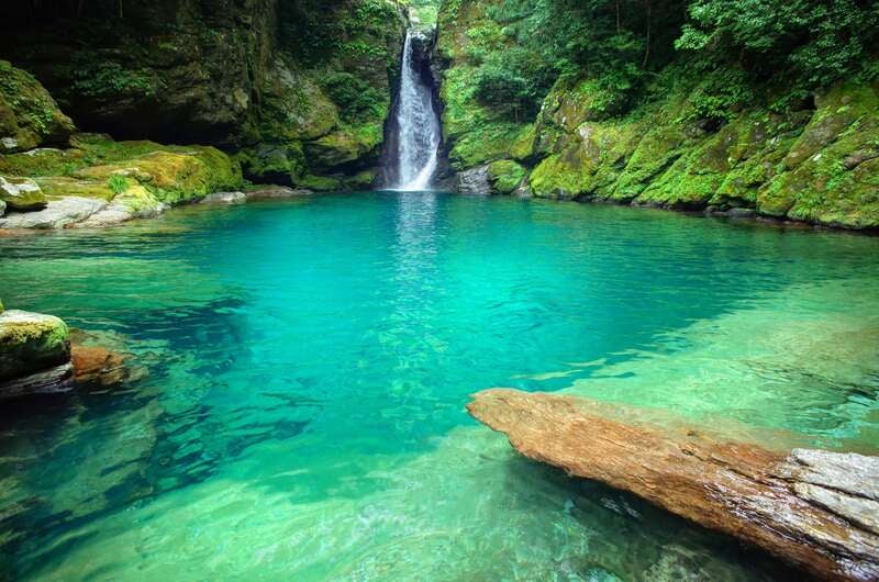 【岡山県内発】 行くぜよ！高知 絶景・うまいもんめぐり ２日間2