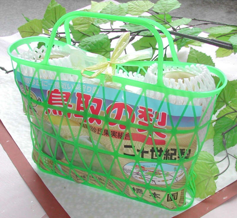 【福井県内発】 とっとり梨のシーズン到来！   鳥取砂丘　と　とっとり梨園内食べ放題！　日帰り3