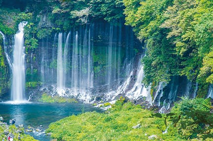 川越発 桜舞う 絶景の龍厳淵と天然記念物白糸の滝＆摘みたていちご狩り食べ放題 静岡日帰り