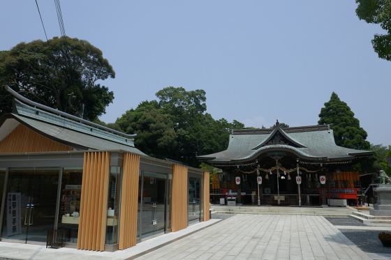 【バスハイク／博多・小倉発着】 添乗員同行 爽快！夏のやまぐち日帰り旅 国産天然まふくを味わうランチ ☆生ビールを含む飲み放題付き☆3