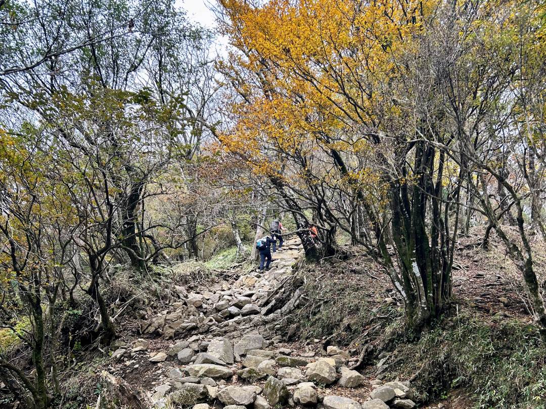 丹沢「ロイヤルカレー」と大山阿夫利神社「本社」の山旅2