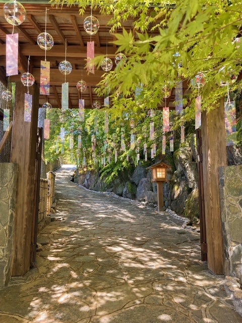 十可苑風鈴まつりと古代蓮開花リレー　日帰りバスツアー🚌2