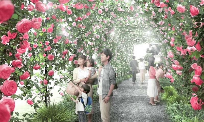 【埼玉県内発】 憧れの「森の中の迎賓館」で選べる和・洋・中ランチ バラ香るお花畑　いばらきフラワーパーク1