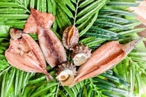 ◎WEB予約でリボンポイント２ポイント◎【春日井・瀬戸発】＊日帰り昼食付＊１２年前の巳年２０１３年の旅　行くなら今でしょ！『伊勢志摩海女小屋「お・も・て・な・し」料理』2