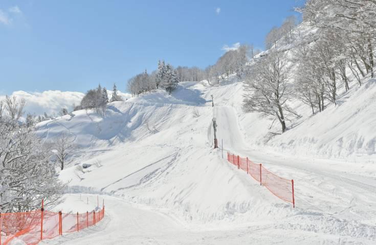 [新宿発]【往復バスで行く】朝発 ガーラ湯沢 1泊2日【リフト1日券付】【夕食・翌朝食付】3
