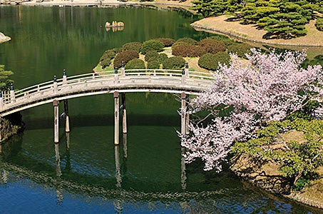 ≪旭川空港発着≫四国４県ハイライト４日間　四国４県【愛媛県】【高知県】【香川県】【徳島県】の見どころを巡る旅♪3